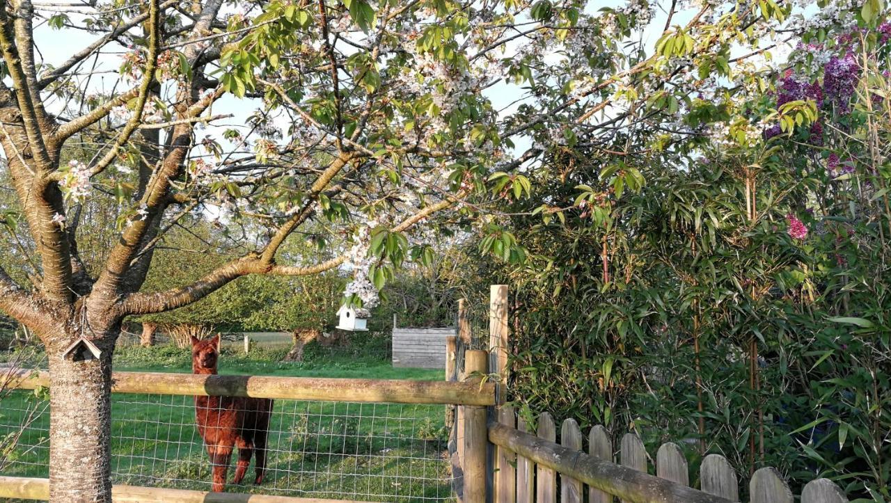 L'Arbre A The Panzió Honfleur Kültér fotó